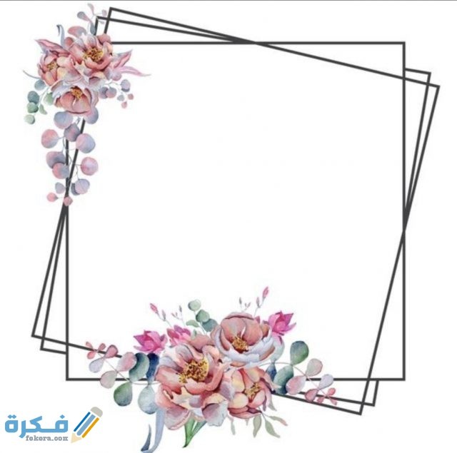 IMG ٢٠٢٠٠٨٢٨ ١٦٥١٥٠