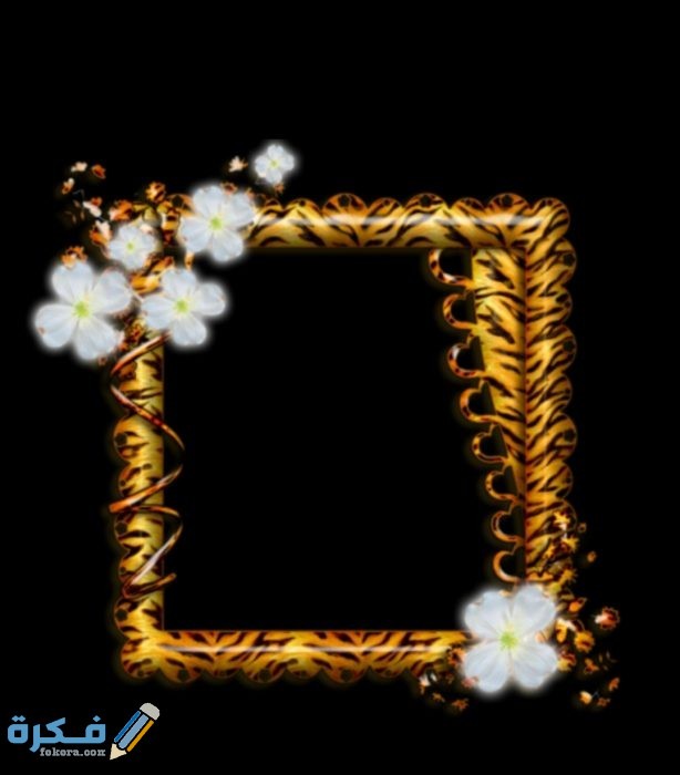 IMG ٢٠٢٠٠٨٢٨ ٢١٢٢٣٧