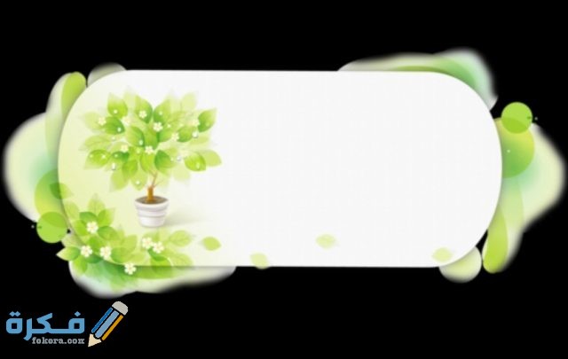 IMG ٢٠٢٠٠٨٢٨ ٢١٢٤١٤