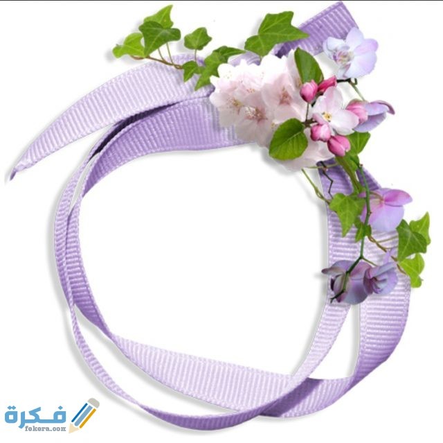 IMG ٢٠٢٠٠٨٢٨ ٢١٢٩٣٥