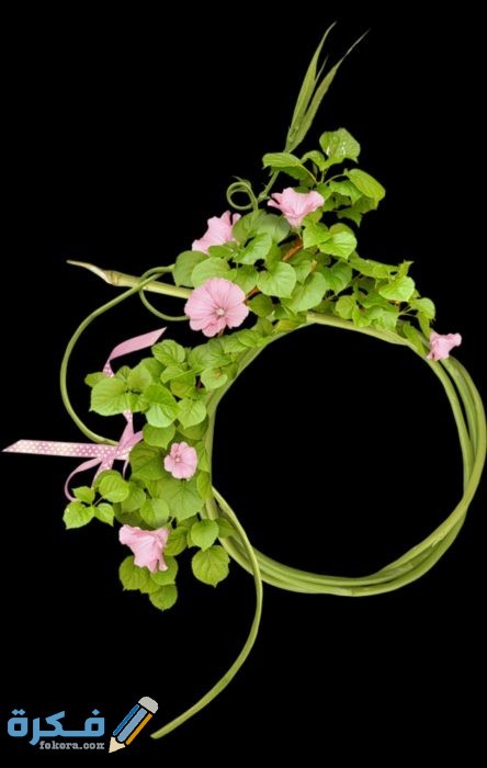 IMG ٢٠٢٠٠٨٢٨ ٢١٢٩٤٩