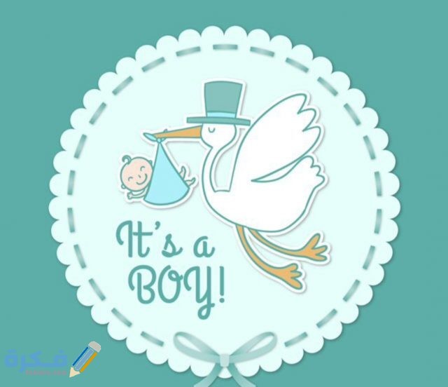 IMG ٢٠٢٠٠٨٢٩ ١٣١٥٢٨