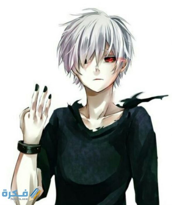 IMG ٢٠٢٠٠٨٢٩ ١٣٤٦٢٦