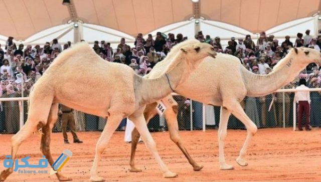 IMG ٢٠٢٠٠٨٣٠ ٠١٢٢٠٤