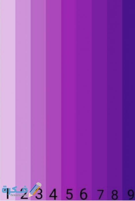 IMG ٢٠٢٠٠٨٣٠ ٠١٢٨٢٥