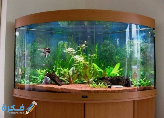 IMG ٢٠٢٠٠٨٣٠ ٠١٢٨٣٥