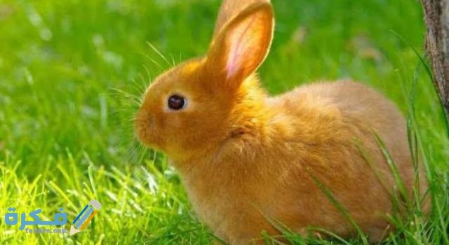 IMG ٢٠٢٠٠٨٣١ ٠١٣٩٣٤