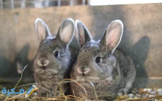 IMG ٢٠٢٠٠٨٣١ ٠١٣٩٥٥