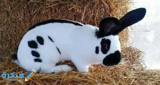 IMG ٢٠٢٠٠٨٣١ ٠١٤٠٠٥