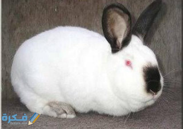 IMG ٢٠٢٠٠٨٣١ ٠١٤٠١٣