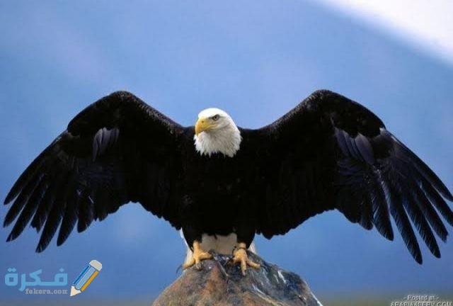 IMG ٢٠٢٠٠٨٣١ ٠١٤١١٢