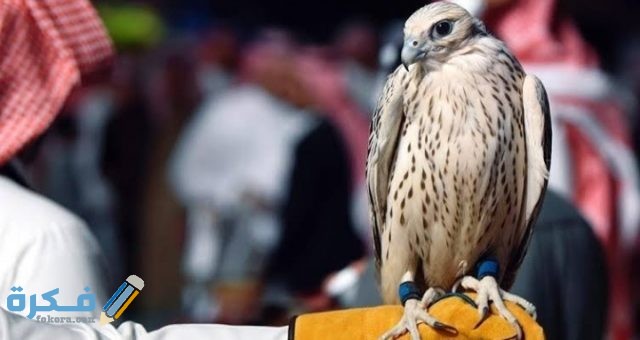 IMG ٢٠٢٠٠٨٣١ ٠١٤١٢٤