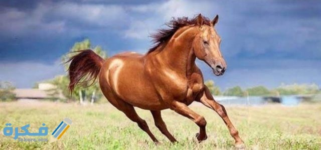 IMG ٢٠٢٠٠٨٣١ ٠١٤٢٣٦