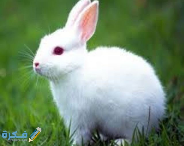 IMG ٢٠٢٠٠٨٣١ ٠١٥١٣١