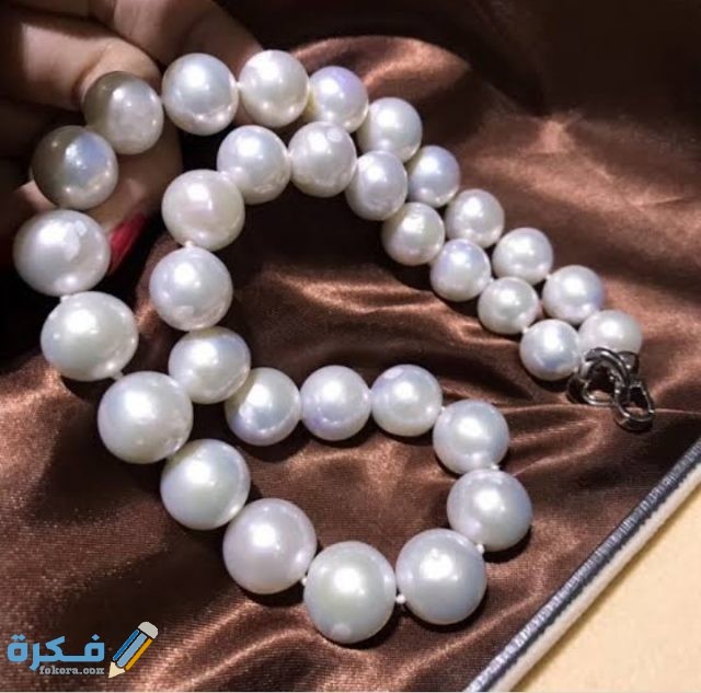 IMG ٢٠٢٠٠٨٣١ ٠٢٢٧٠٦