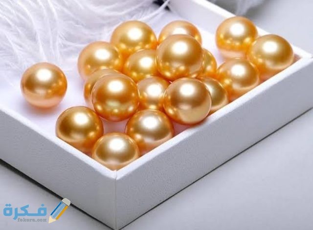 IMG ٢٠٢٠٠٨٣١ ٠٢٢٧١٥