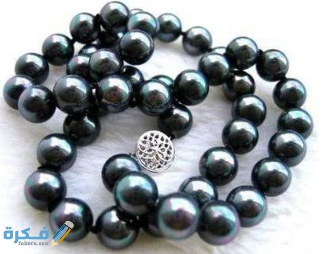 IMG ٢٠٢٠٠٨٣١ ٠٢٢٧٢٥