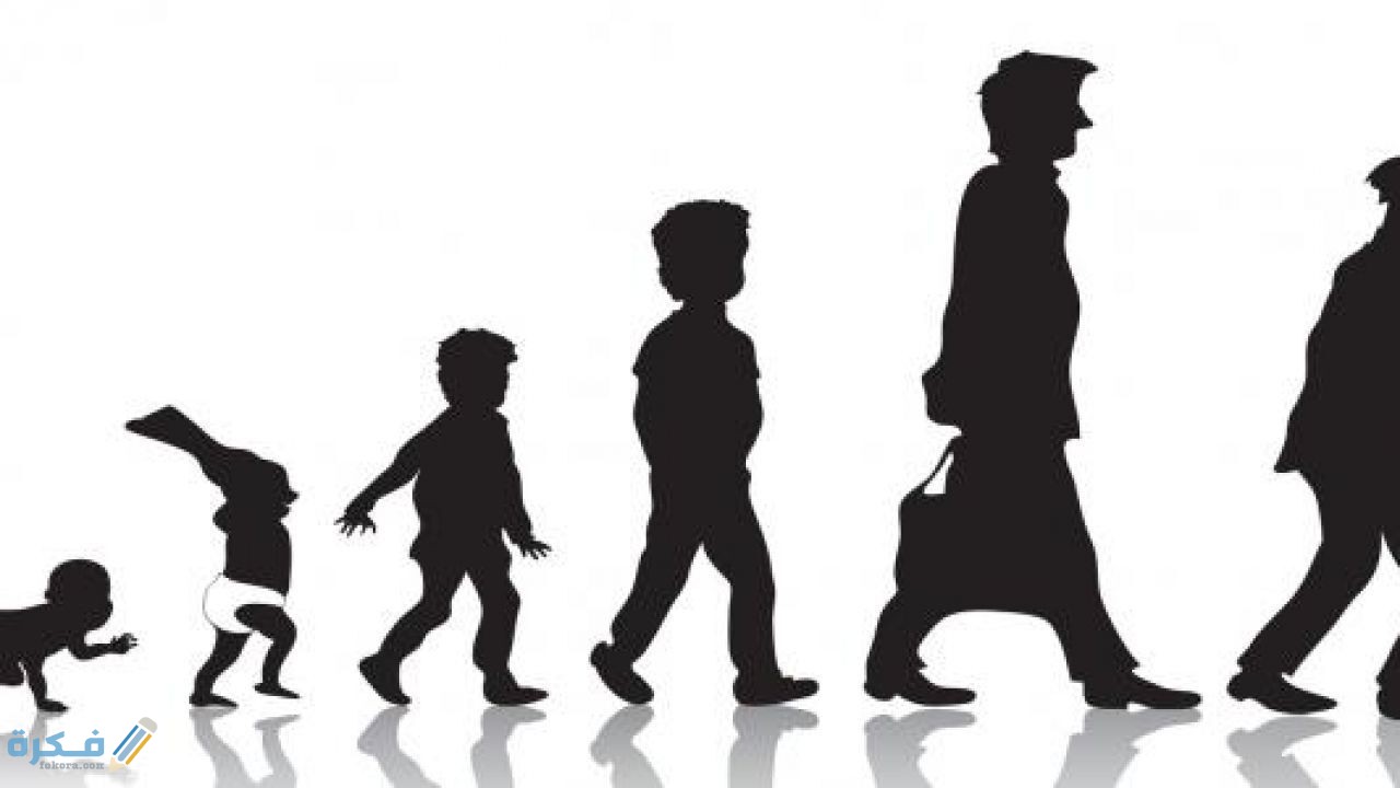 مراحل حياة الإنسان