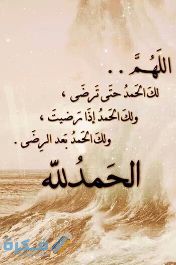 a86d855816d33553b8a01b00e728fd0b