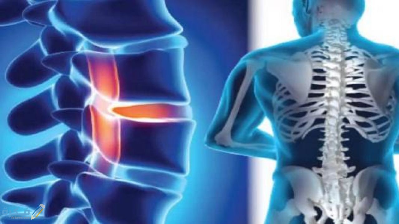 عدد فقرات جسم الإنسان