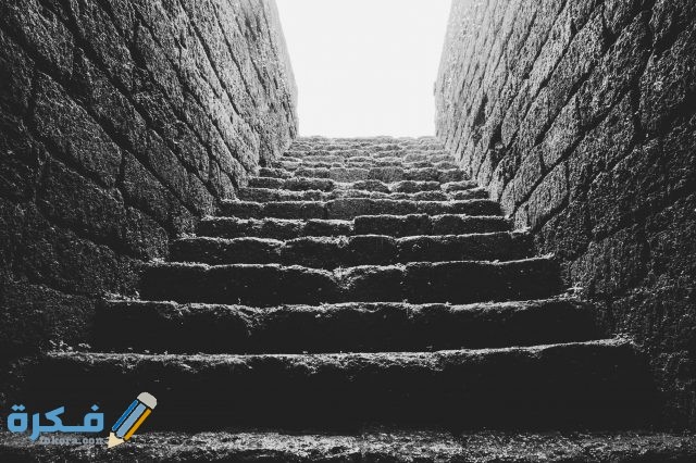 pexels photo 1917328