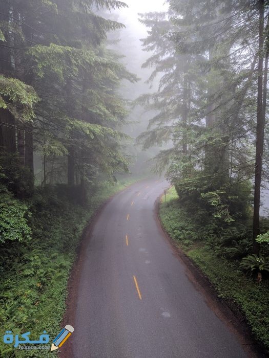 pexels photo 2682122