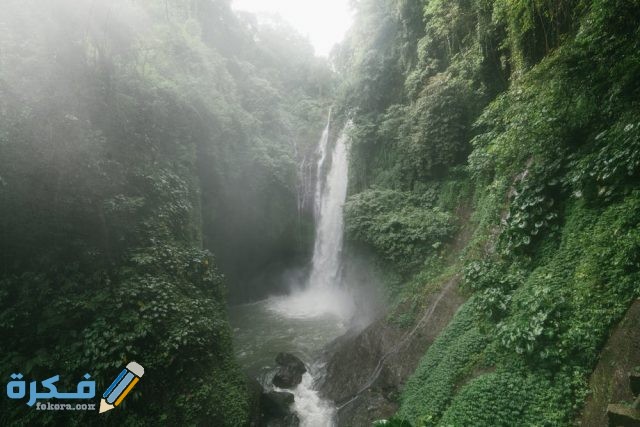 pexels photo 4534200