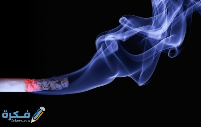 pexels pixabay 70088