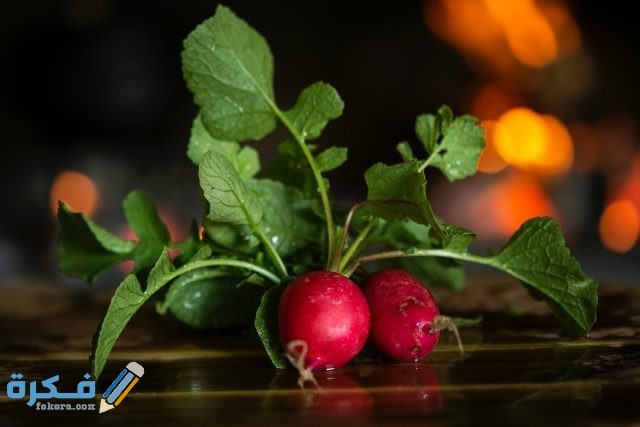 pexels wendy van zyl 2476542