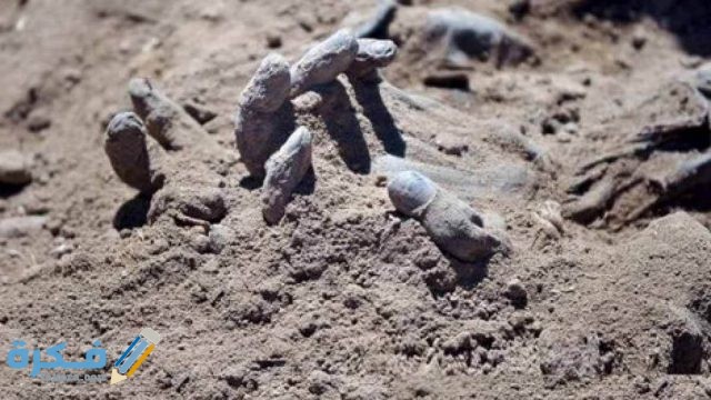 تفسير رؤية الجثث