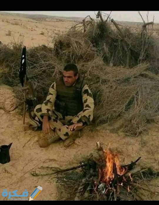 100912991 274642327236180 6287173054317461504 n