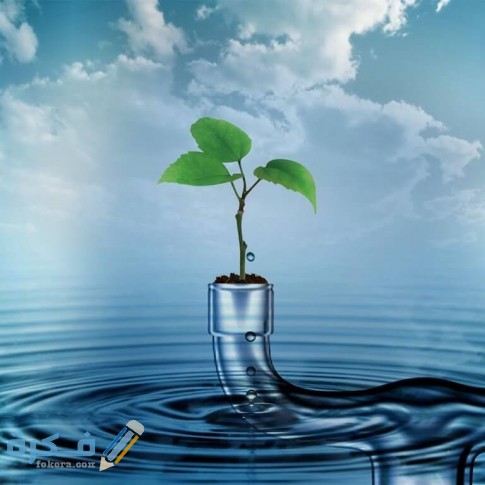 أشياء مهمة يجب أن تعرفها