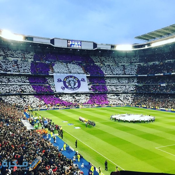 5054954840ff26298771bf18bd96775b223799c52