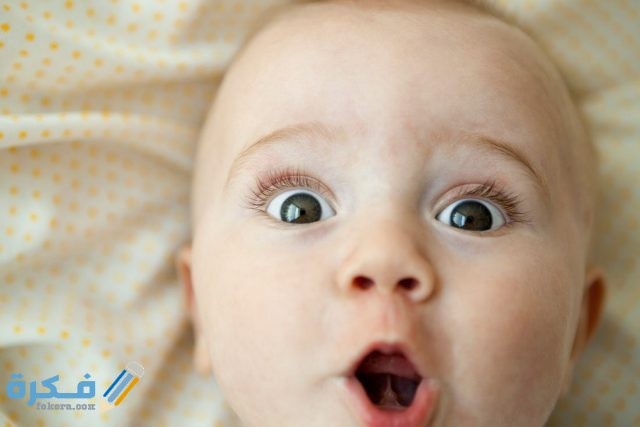 5e1ce9b549878c575808e46c