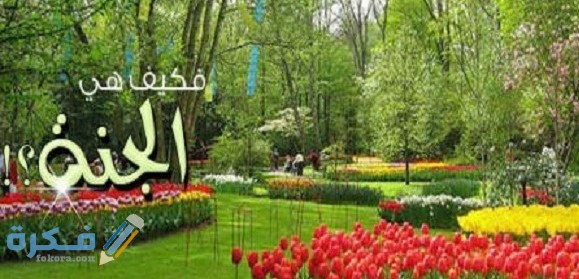 ما هي السورة التي لم يذكر فيها لفظ الجنة 64d40abe74ef74e1e1dbb3cf67f4198b