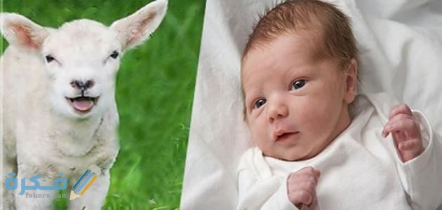 CF7301A9 8D76 4F7E AF57 EE03EFD2894D