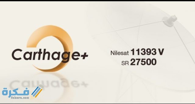 IMG ٢٠٢٠٠٩٠٣ ١٠٣٨٠٧