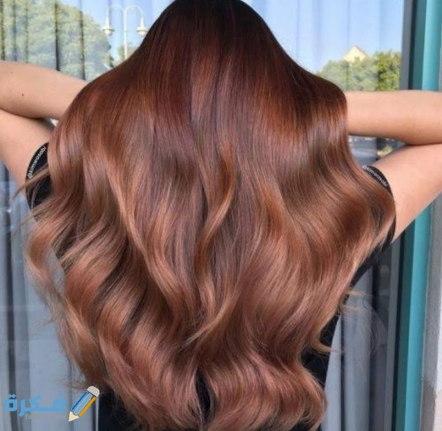 IMG ٢٠٢٠٠٩٠٤ ٢١١٩٤٥