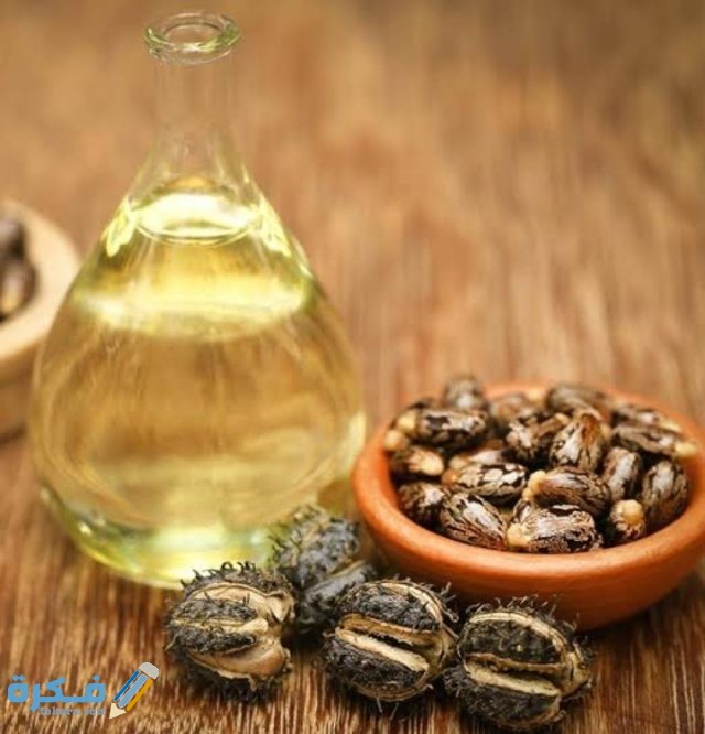 IMG ٢٠٢٠٠٩٠٥ ٠٣٤٨٣٣