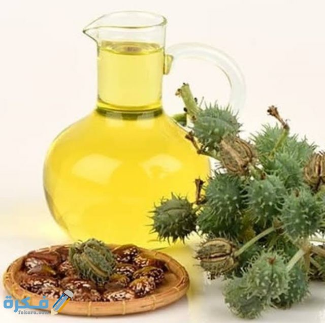 IMG ٢٠٢٠٠٩٠٥ ١٣٣٨٣٢