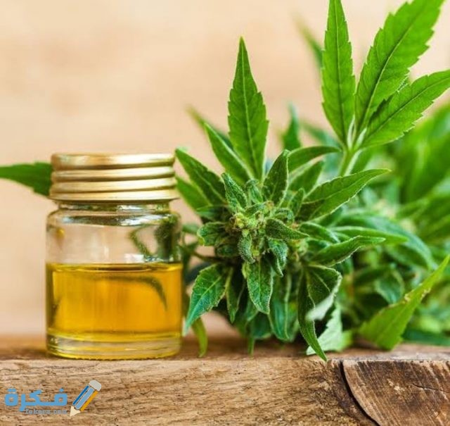 IMG ٢٠٢٠٠٩٠٨ ٠١١١٠٧