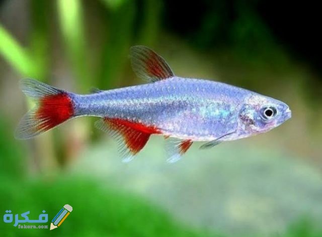 IMG ٢٠٢٠٠٩١٥ ٢١٠٠٠٤