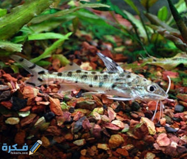 IMG ٢٠٢٠٠٩١٥ ٢١٠٠٢٢