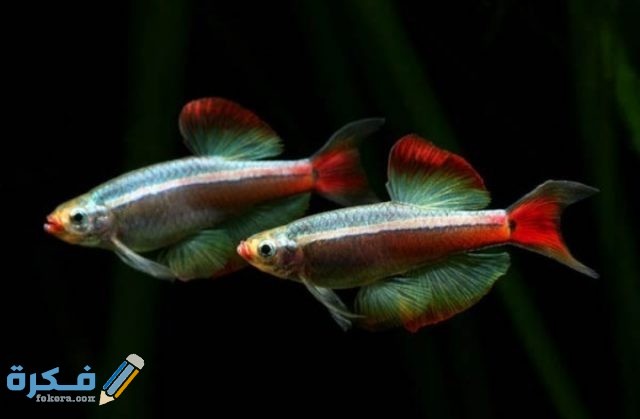 IMG ٢٠٢٠٠٩١٥ ٢١٠٠٤٢