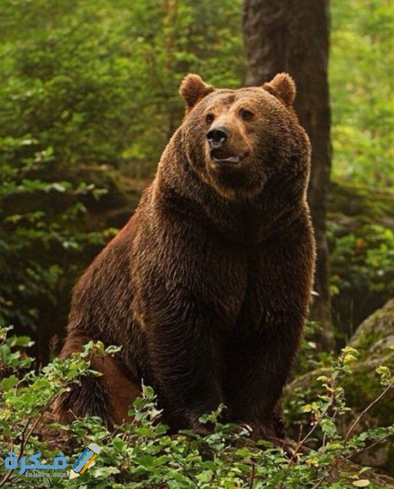 IMG ٢٠٢٠٠٩١٥ ٢١٠٢٥٣