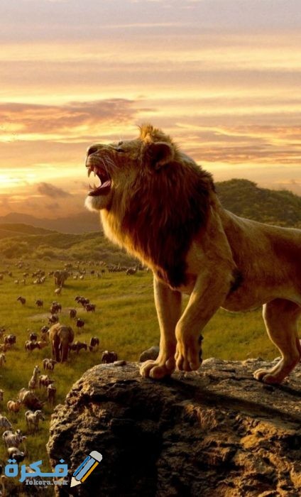 IMG ٢٠٢٠٠٩١٥ ٢١٠٣٠٤