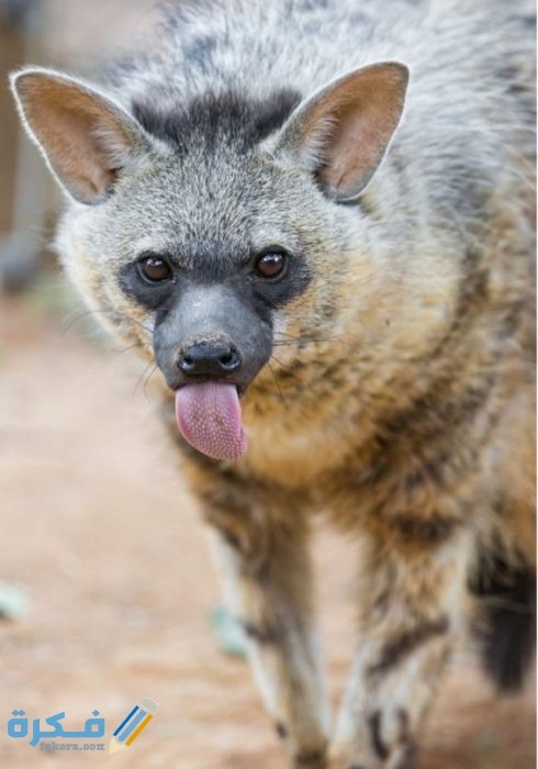 IMG ٢٠٢٠٠٩١٥ ٢١٠٣١٤