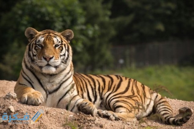 IMG ٢٠٢٠٠٩١٥ ٢١٠٣٢٥