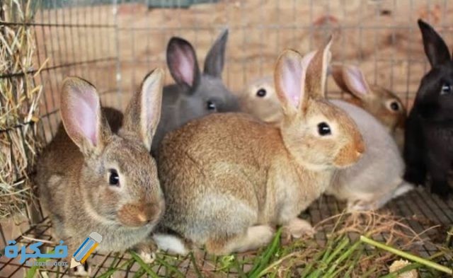 IMG ٢٠٢٠٠٩١٥ ٢١٠٣٥٠