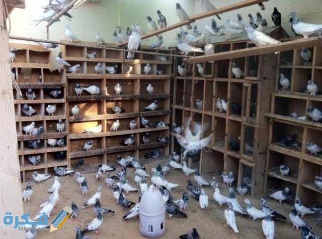 IMG ٢٠٢٠٠٩١٥ ٢١٠٥٢٦